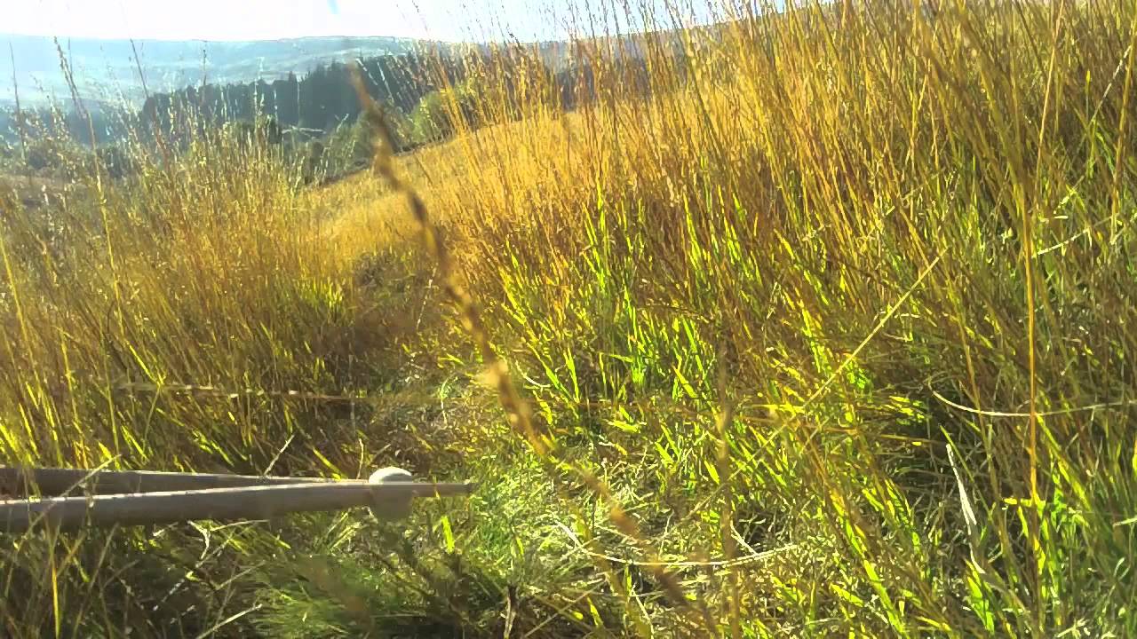 Julian Sartorius - Beat Diary - Field