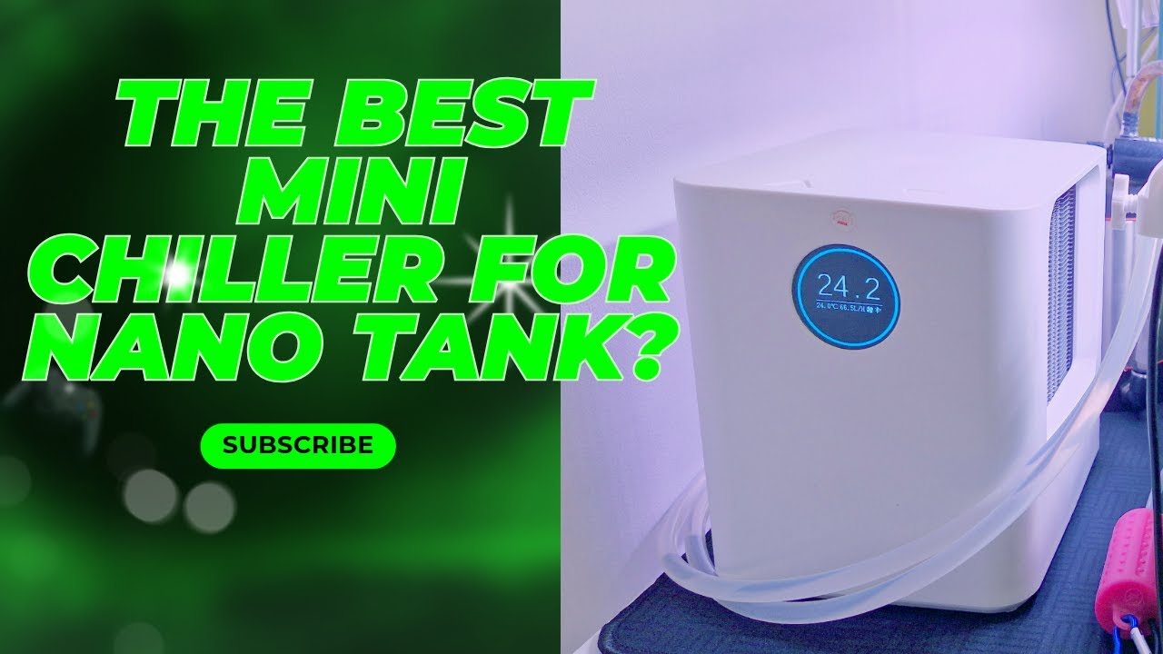Mini Chiller for Nano Tank Review (Best Mini Chiller in the market ?)
