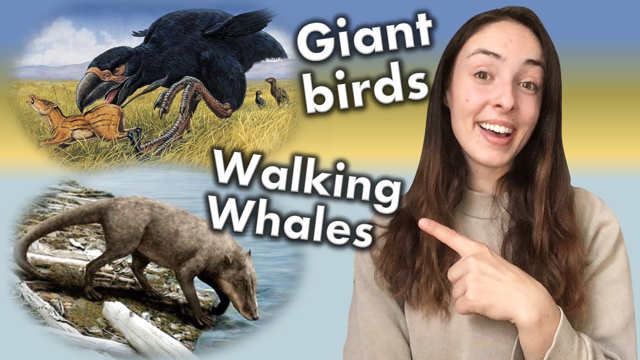 Early Cenozoic Life- Megalodon Roamed, Mammals go Back to Sea, Huge Birds Hunt Horses | GEO GIRL
