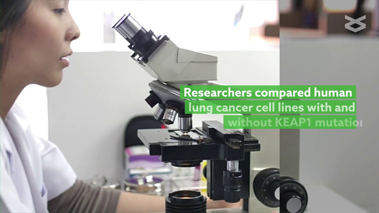 Loss of function mutations in KEAP1 drive lung cancer progression