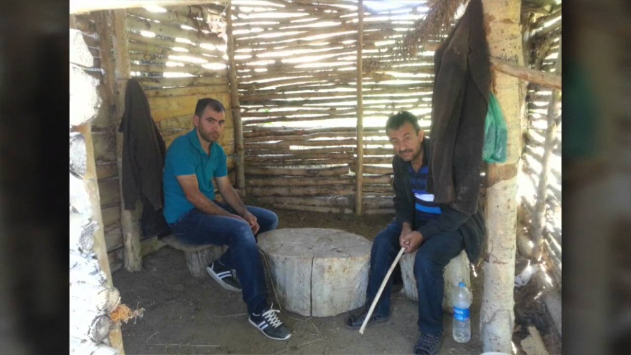 İmranlı  ardıçalan  görelis  köyü