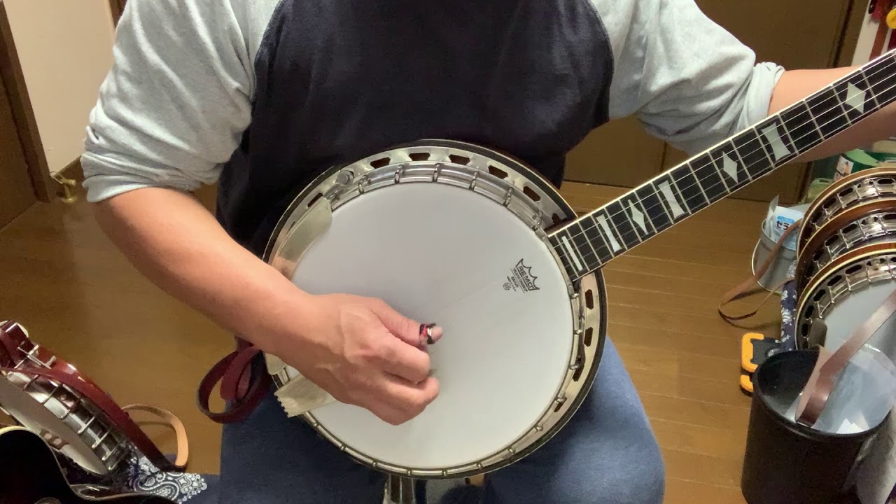 Vega Earl Scruggs Model Banjo 1968