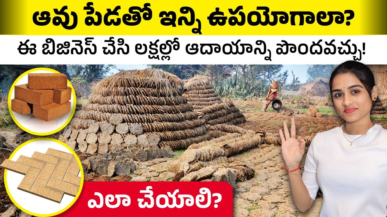 ఆవు పేడ తో ఇన్ని ఉపయోగాల? | Cow Dung Benefits and Business Ideas| Cow Dung Paints and Tiles Business