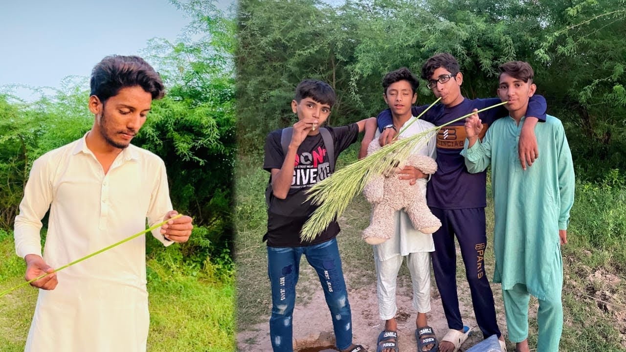 Chawal ki FasiL tayar ho gyi 😍