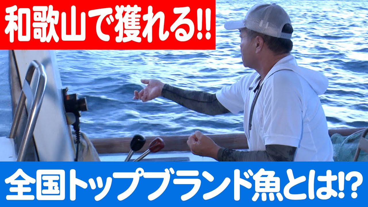 明け方の海から始まる一日：加太の伝統漁法で獲る真鯛の物語 日本財団 海と日本PROJECT in 和歌山県 2023 #011