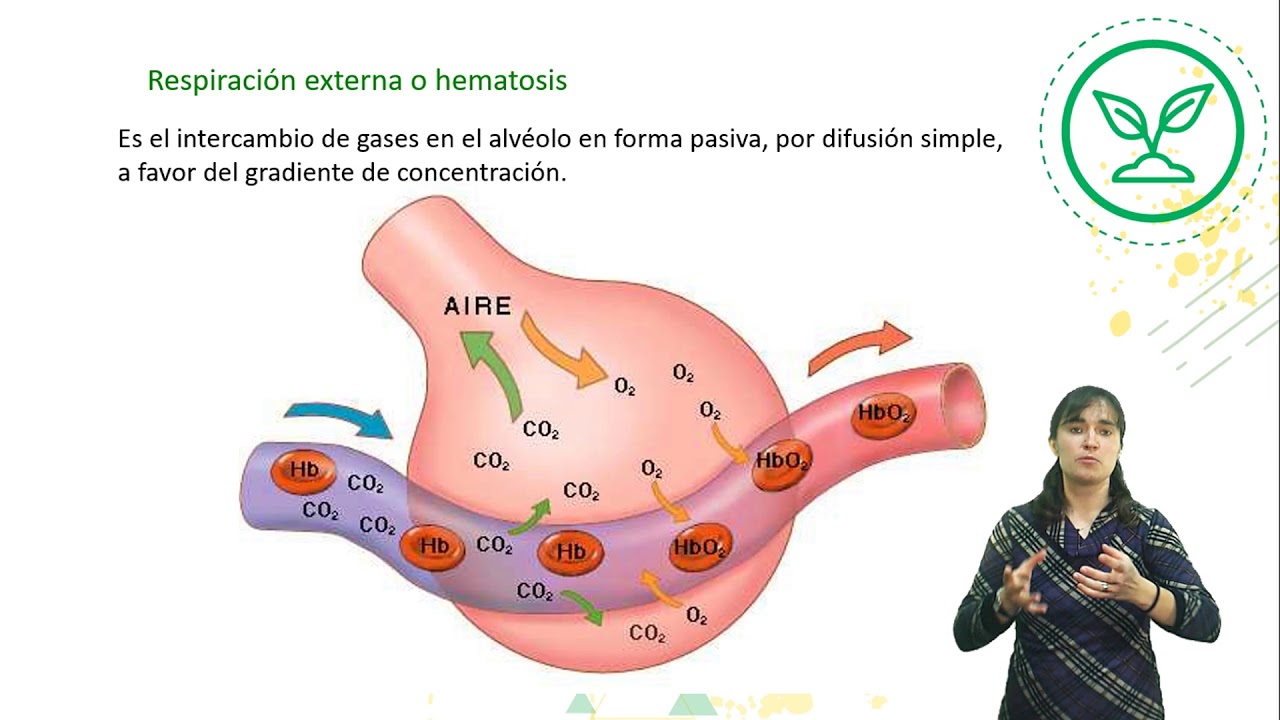 BIOLOGÍA 