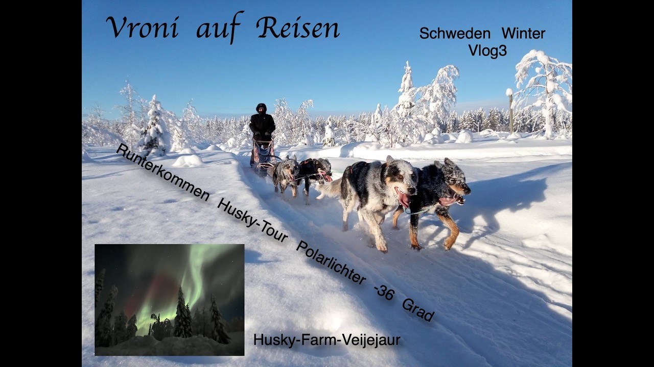 Schweden im Winter mit dem Wohnmobil ; Husky-Tour, Polarlichter und -36 Grad 🥶🥶🥶
