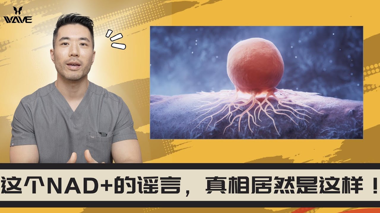 这个NAD+的谣言，真相居然是这样！