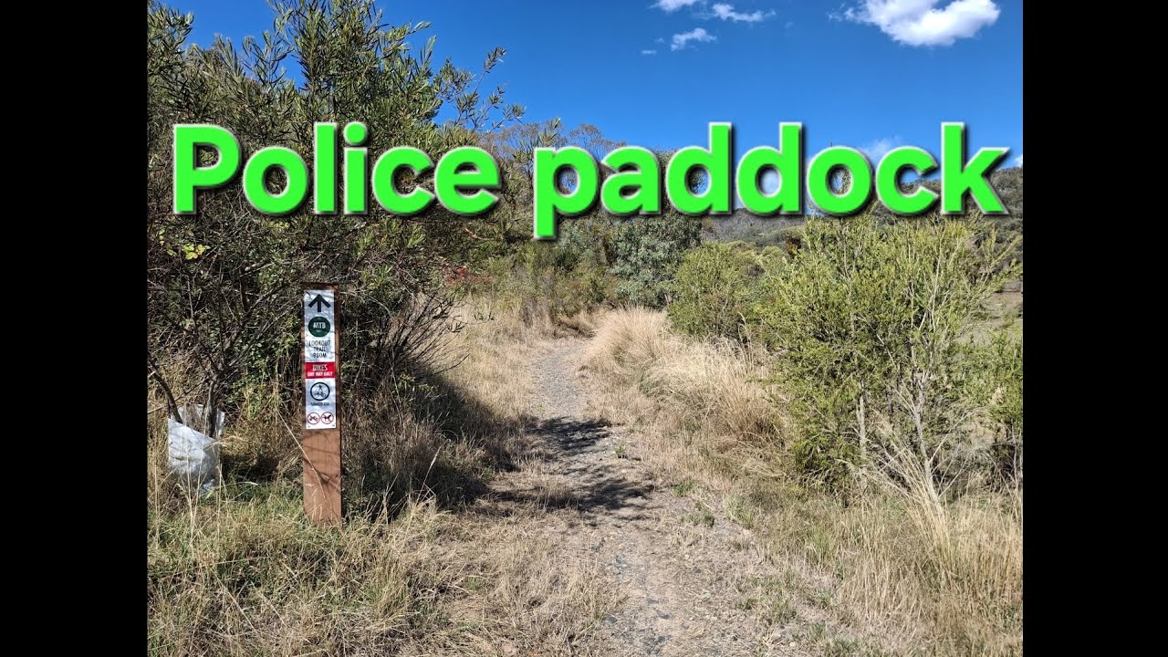 Police Paddock Tumbarumba