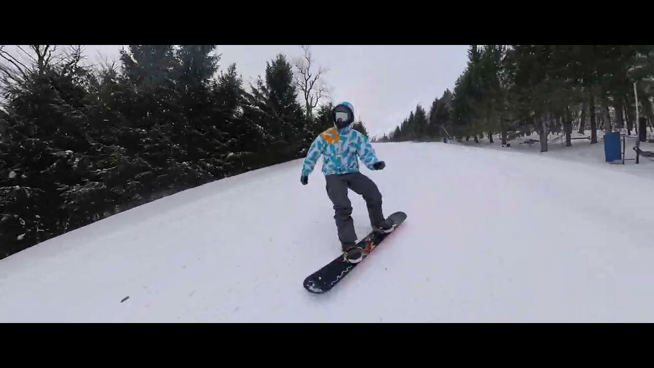 Elk 2/12/26
