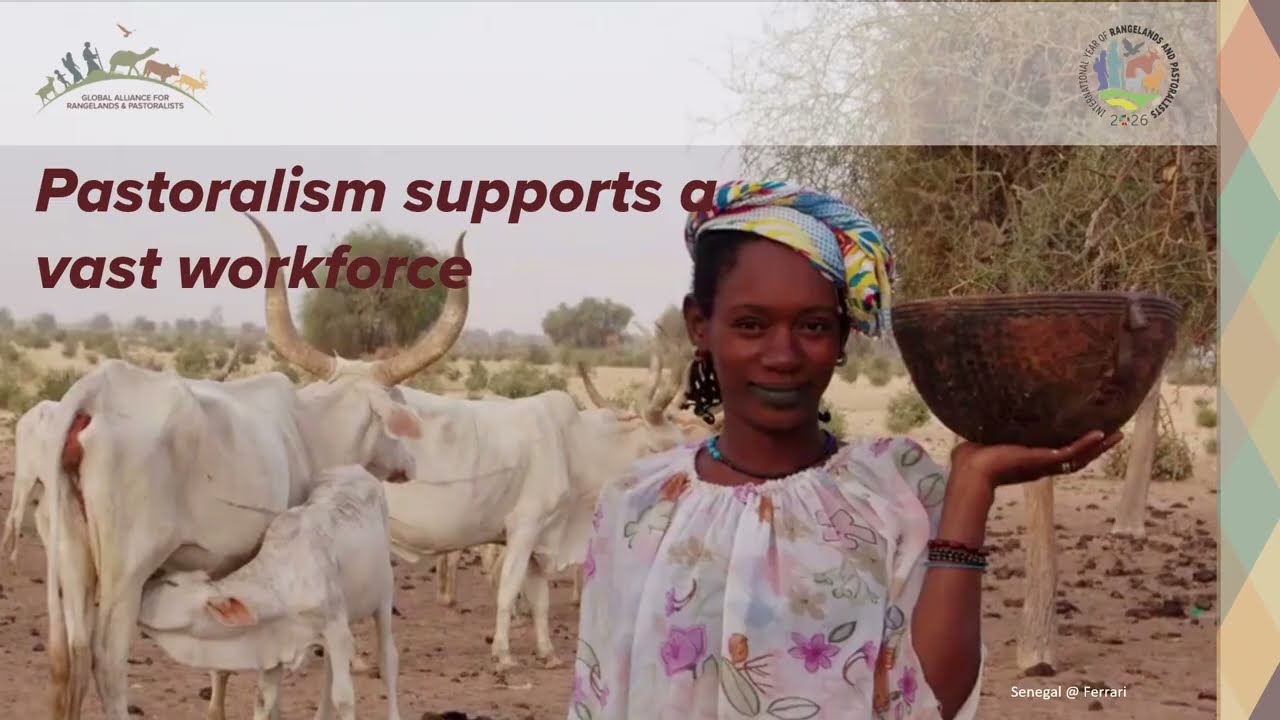 IYRP 2026 March Pastoral Economy 22 01 26 TH narration