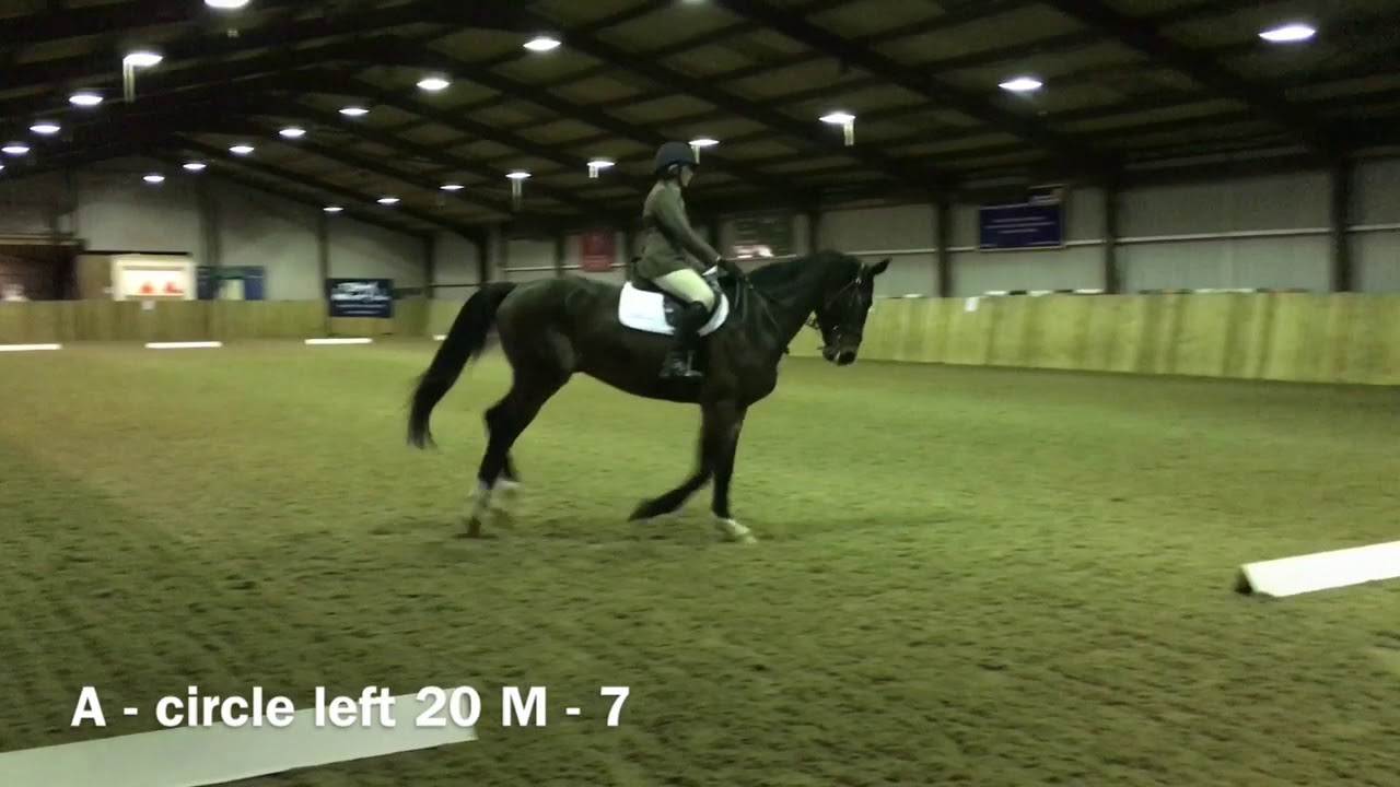 BD prelim 2 2016 with judges scores 70.34% & comments
