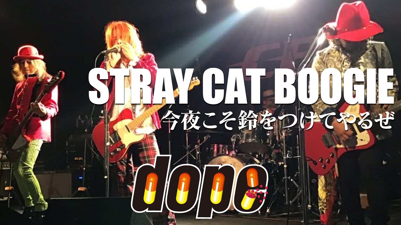 dope - STRAY CAT BOOGIE【LIVE / HD】2025/09/12(金) 福岡 Livehouse CB
