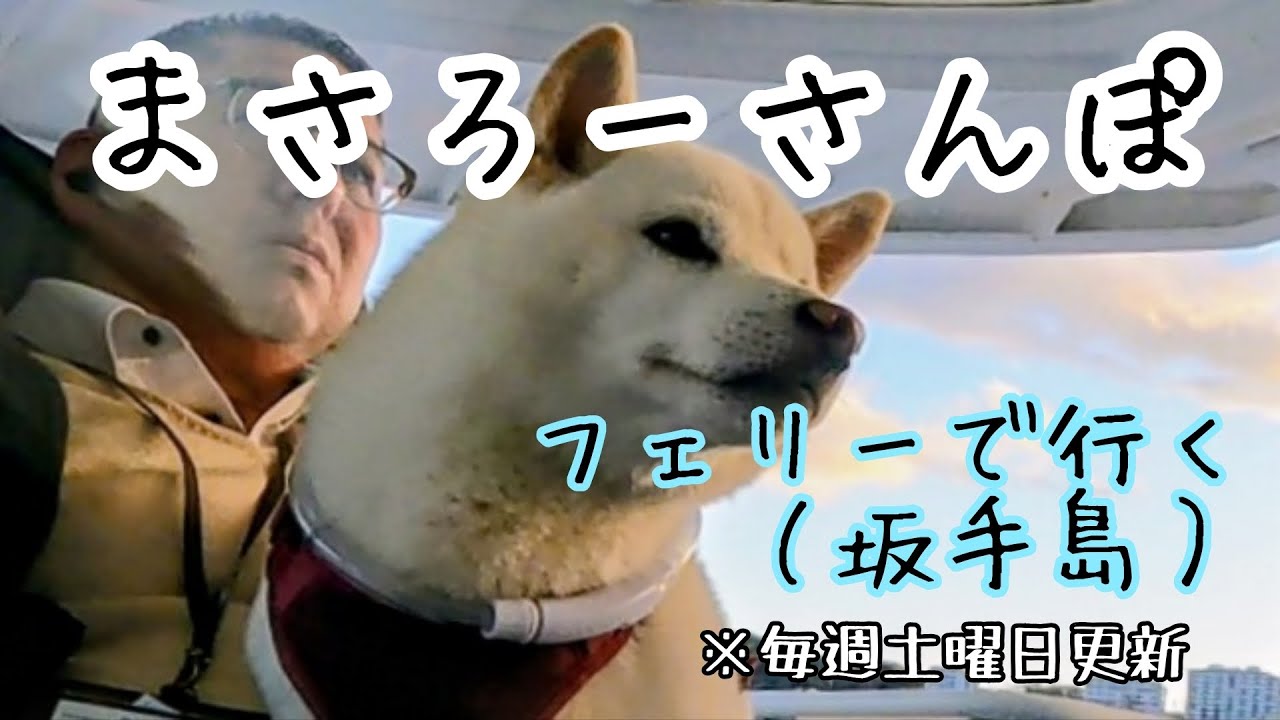 まさろーさんぽ　フェリーで行く坂手島編