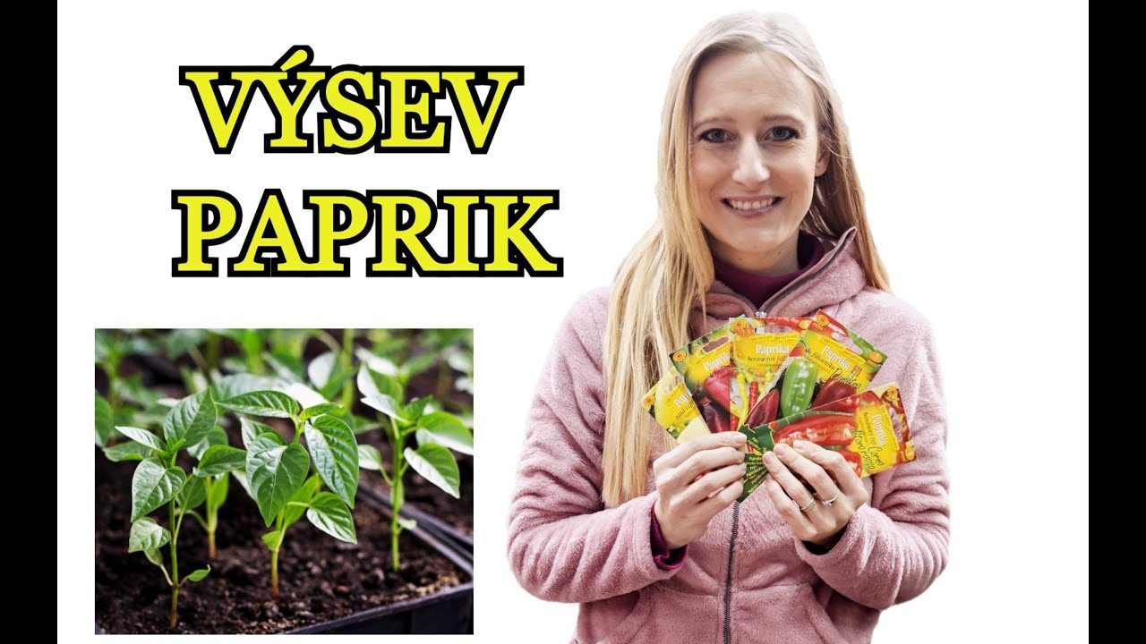 PAPRIKY | VŠE CO MUSÍTE VĚDĚT O VÝSEVU PAPRIK - Namáčení, substrát, výsev, péče o semínka