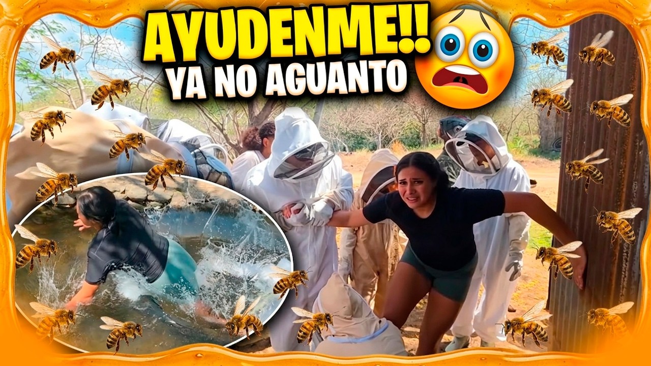 Miren el ataque de abejas que recibió Ruth. Miren lo que tuvo que hacer