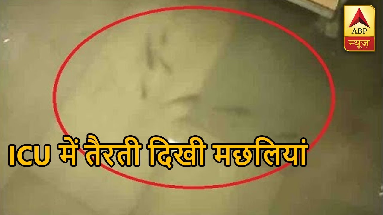 SHOCKING: Fish Seen In The Water Logged Inside Nalanda Medical College Hospital ICU