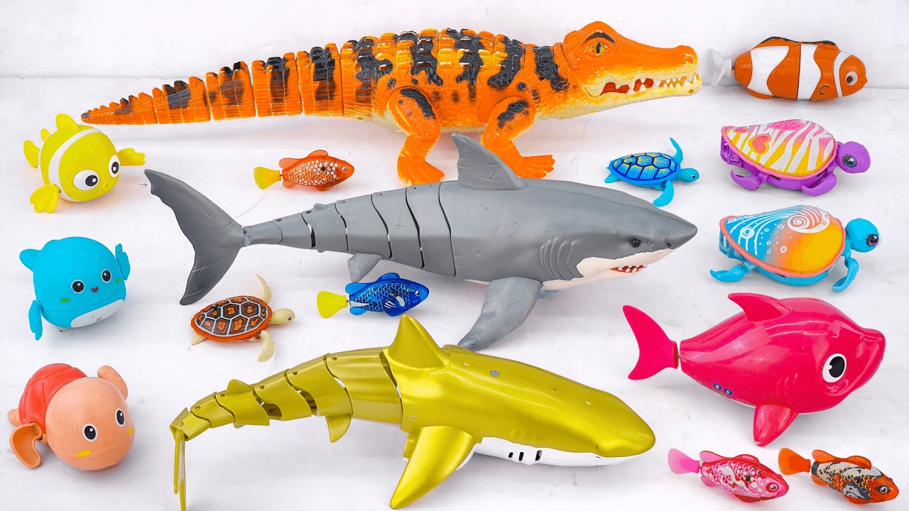 Satisfied unboxing aquarium magnetic fish robot fish whale fishing toy set ASMR | toy evaluation