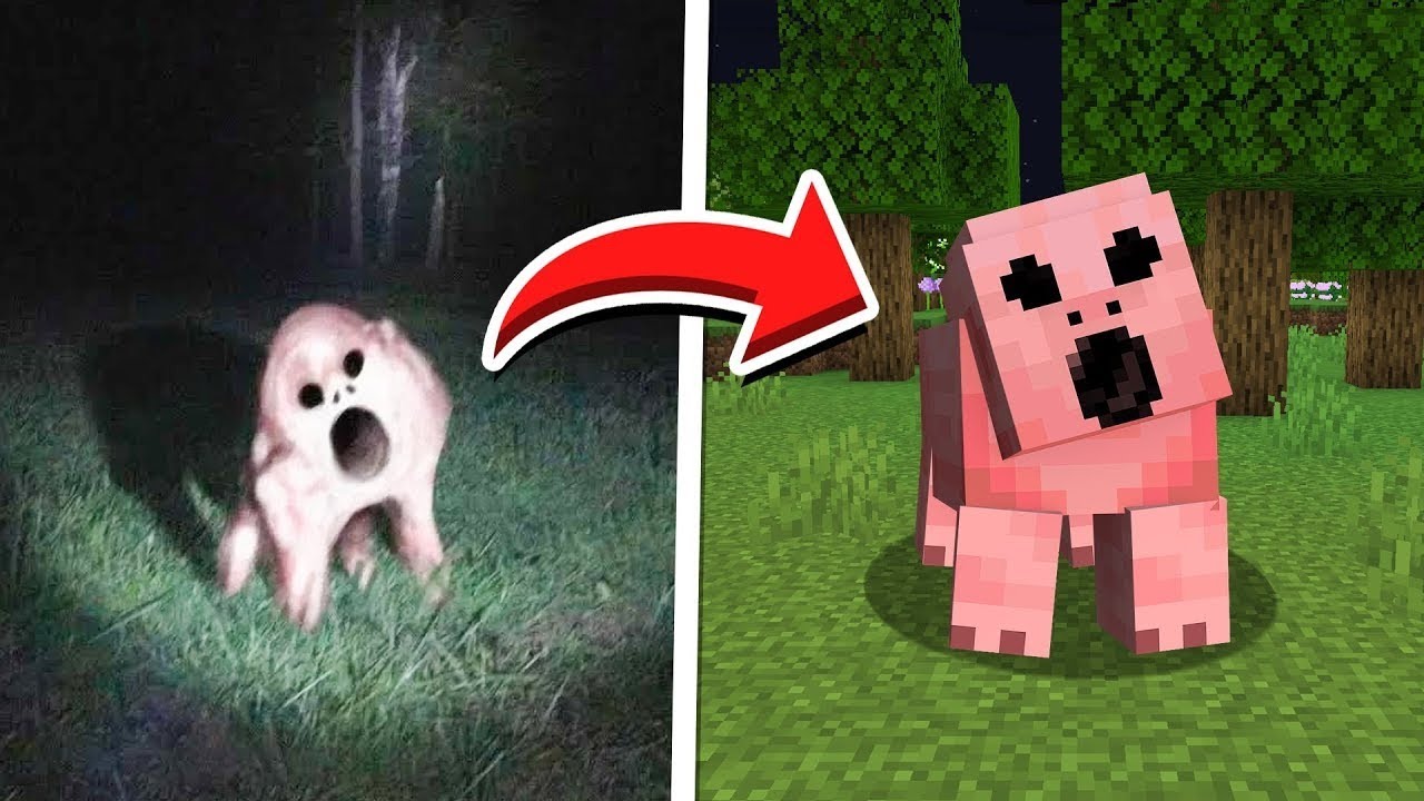 Minecraft Mobs CAPTURADOS NA VIDA REAL
