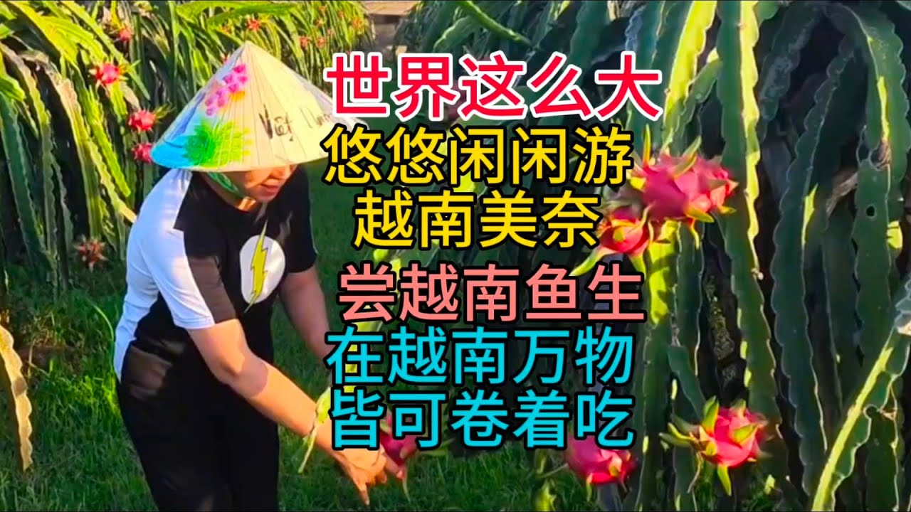 世界这么大，悠悠闲闲游越南美奈，尝越南鱼生，在越南万物皆可卷着吃，粤语中字幕2024-2-5