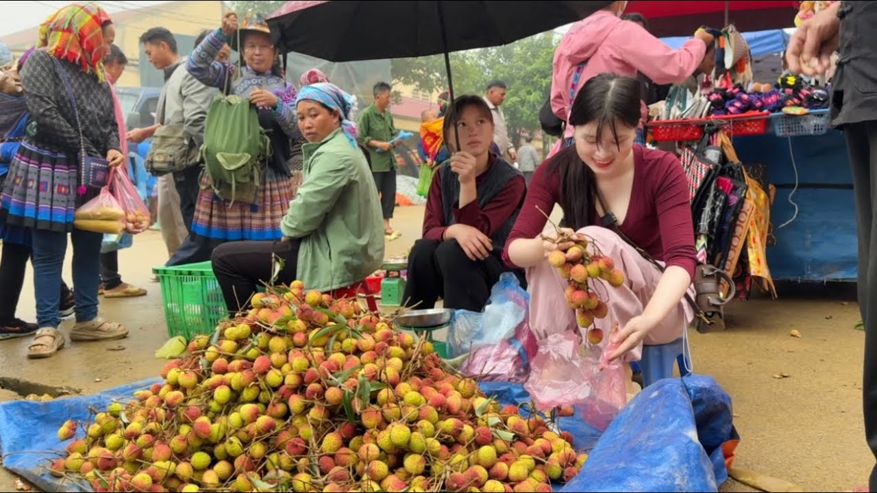 Lượng Người Mua Vải Kéo Đến Làm Em Mỷ Bán 200KG Vải Không Kịp. Thật May Đã Rủ Em Gái Đi Cùng