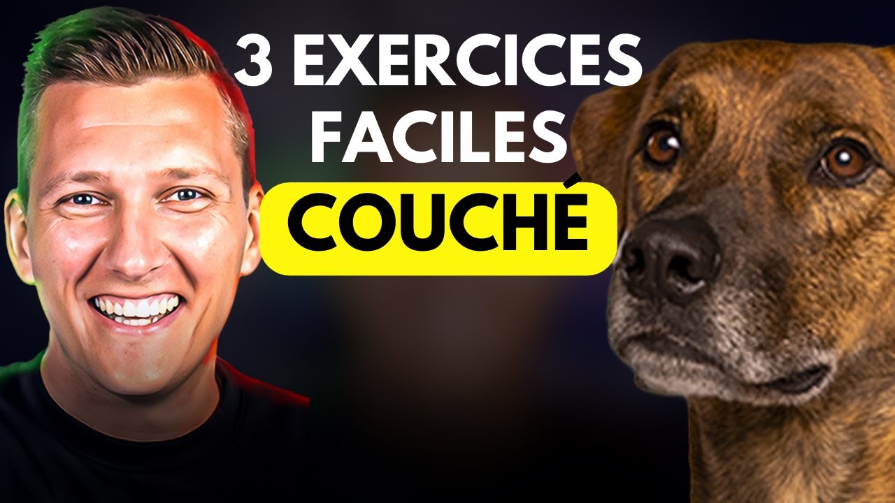 Apprendre Le COUCHÉ à Son CHIEN ou CHIOT Rapidement