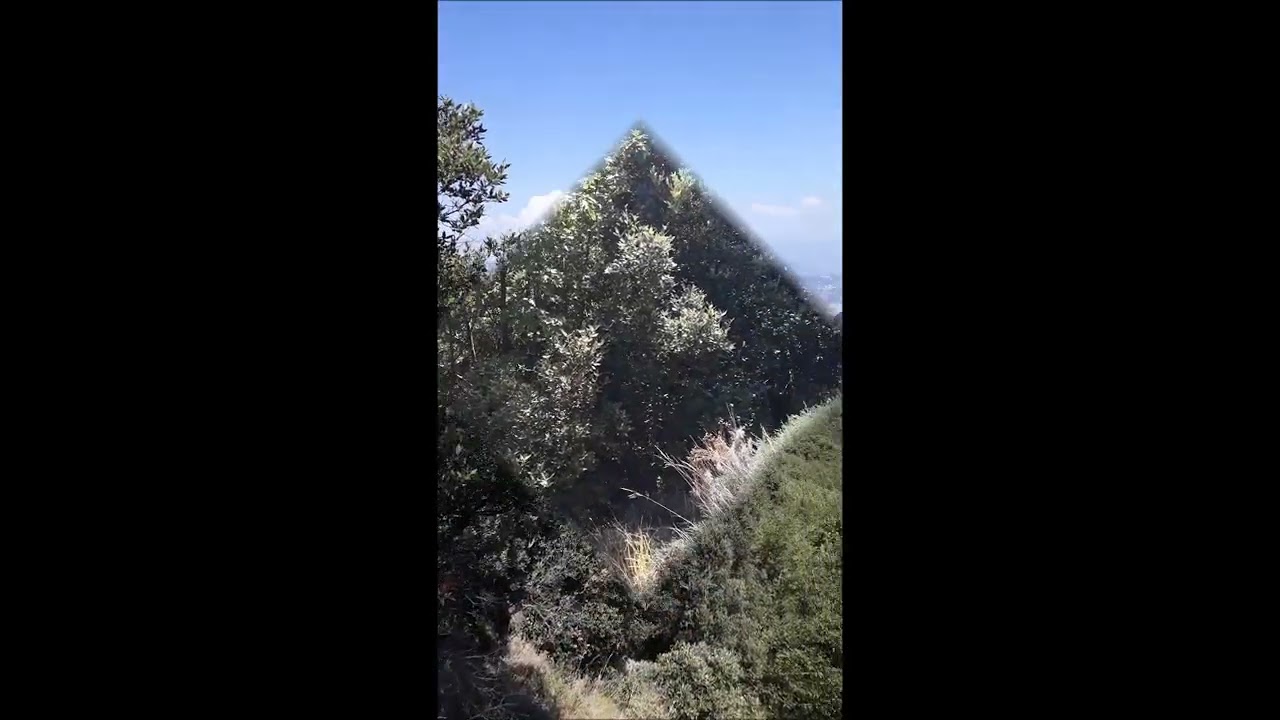 Wild ... Assalto al Monte dell' Avvocata ( Traversata Badia- Maiori SA)