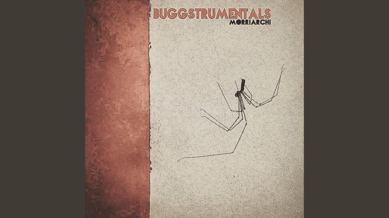 Cult Sag 616 (Instrumental)