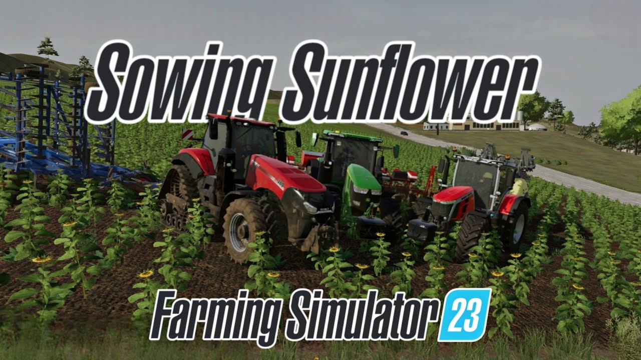 Farming Simulator 23 | Sowing sunflower 🌻