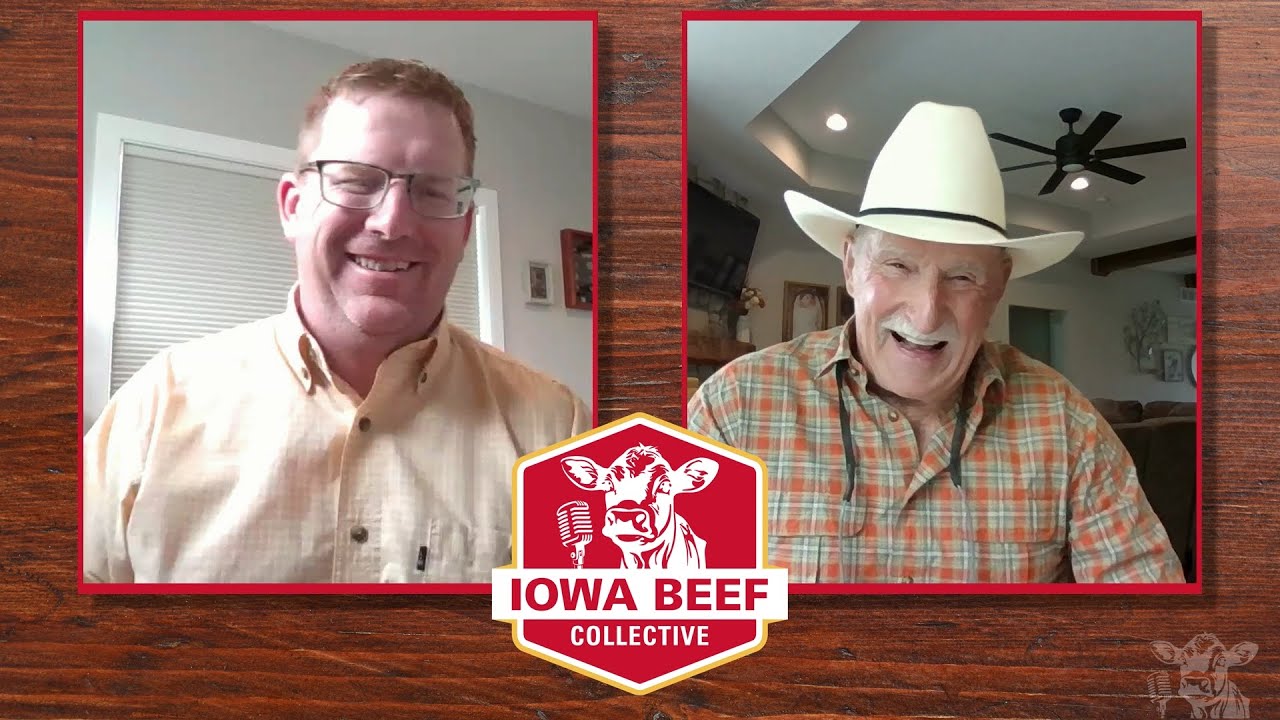 Africander Cows, Research to Practice, and No Regrets