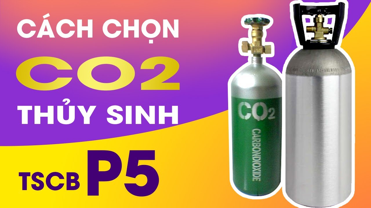 Cách Chọn Và Lắp Đặt Bình CO2 Cho Bể Thủy Sinh • Thủy Sinh Cơ Bản • Phần 5