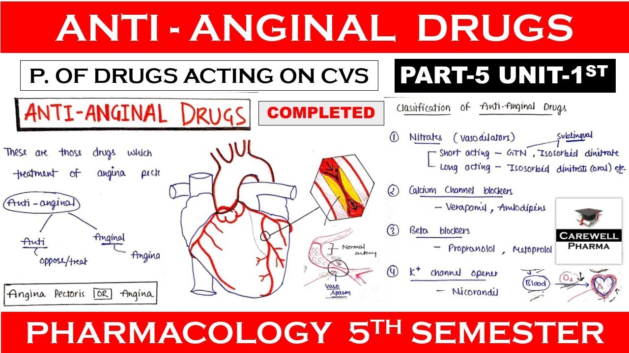 Antianginal drugs (complete) || Part-5 Unit-1 || Pharmacology 5th Semester