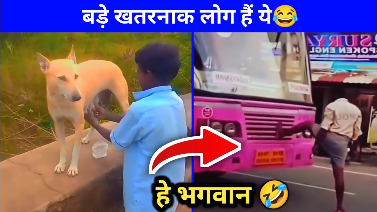 बड़े खतरनाक लोग हैं भाई 😂|| Cg Tik Tok Video|| Cg Comedy video|| Cg video||