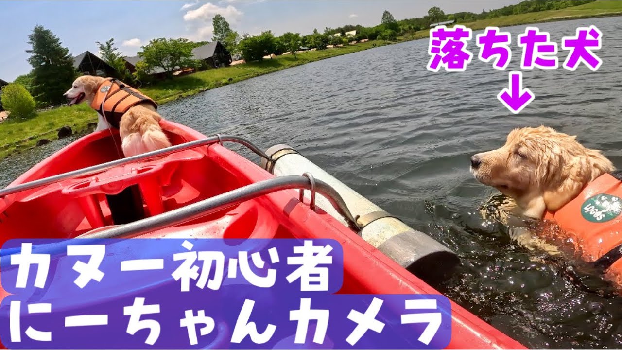 【にーちゃんカメラ】カヌー事件をにーちゃん目線で見てみた結果