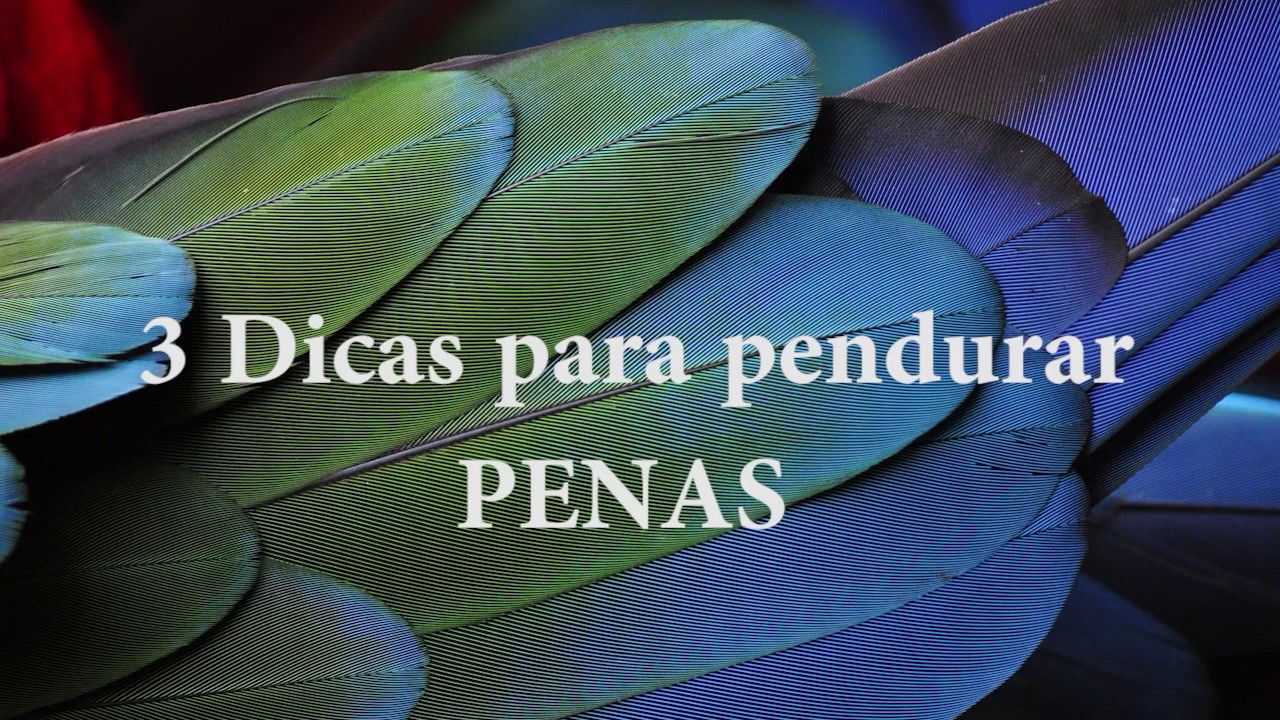 3 formas de pendurar penas