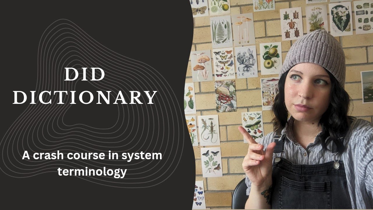 All About System Terms || Dissociative Identity Disorder