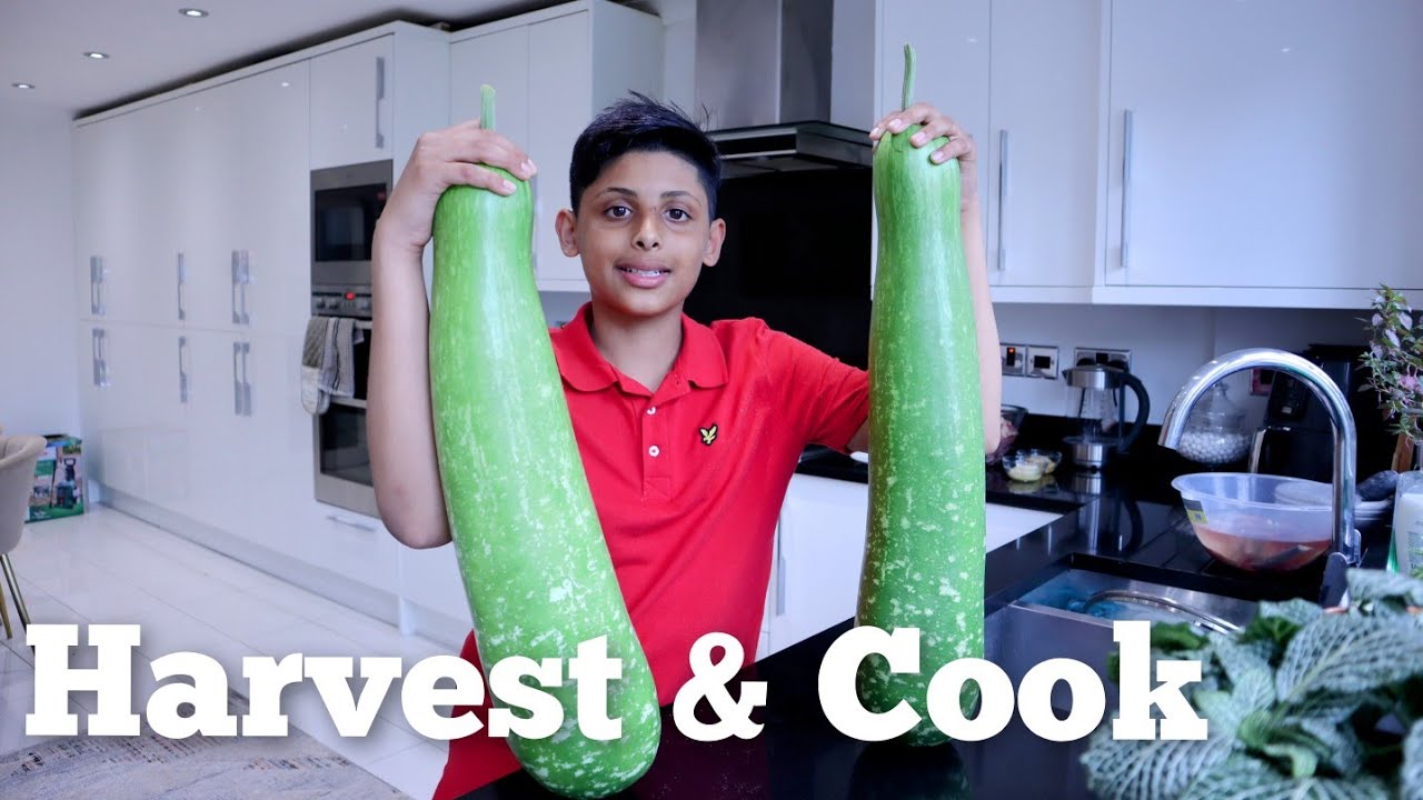Grow Harvest Cook and Eat 2021 ep 2 - Bottle Gourd Curry and Bhaji