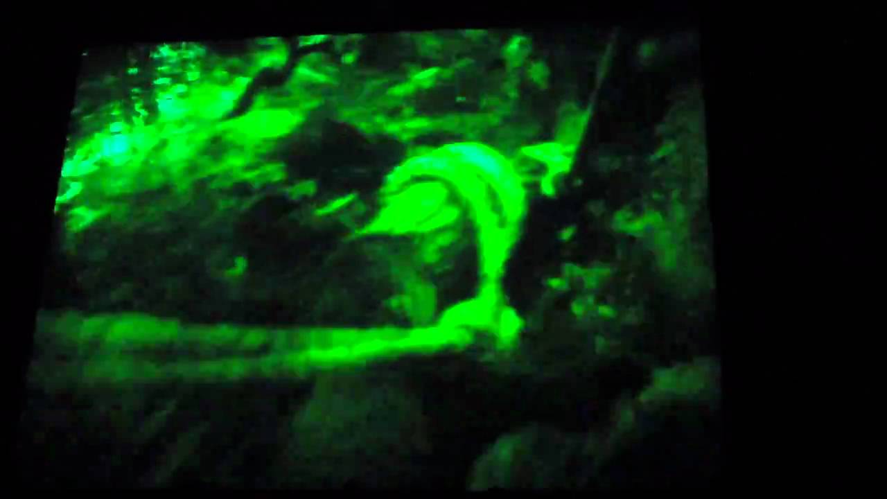 Hex - The Legend of the Towers