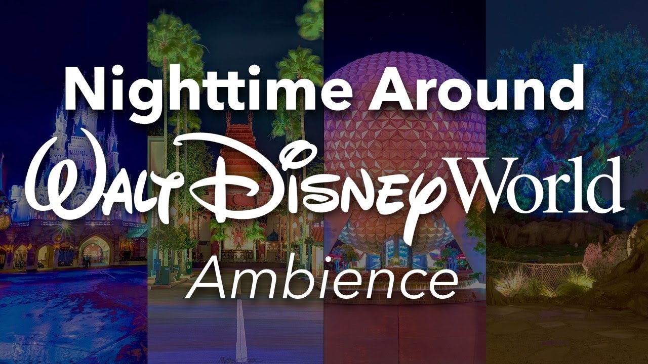 Nighttime Around Walt Disney World Ambience | Disney World Nighttime Fireworks Ambience