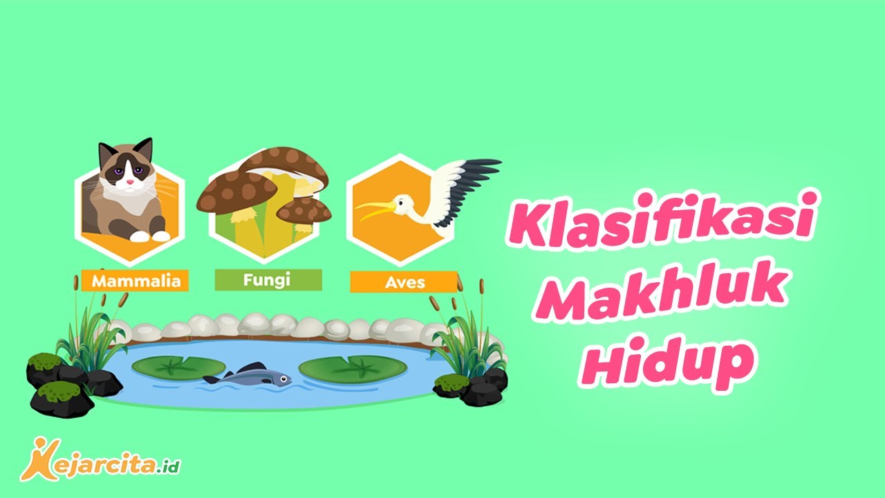 Klasifikasi Makhluk Hidup | IPA SMP