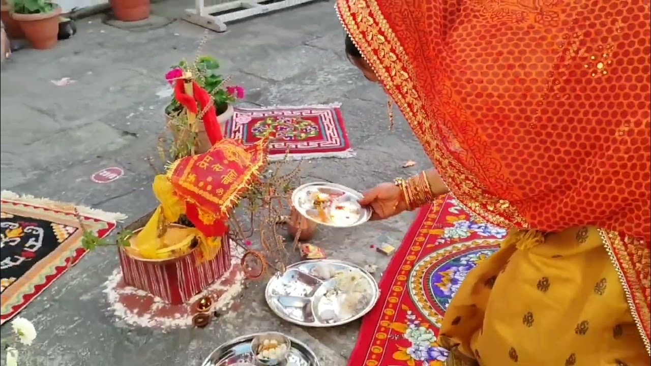 देवउठनि एकादशी की हार्दिक शुभकामनाएं❤ 🌿🕉
