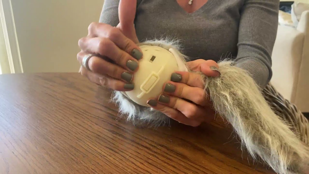 Hyper Pet - Doggie Tail Dog Toy - How To Change Batteries