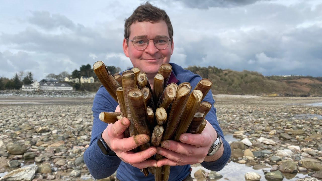 Coastal Foraging | Razor Clams Galore and Shellfish Boil
