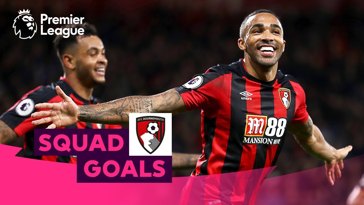 Brilliant AFC Bournemouth Goals | Wilson, Brooks, King | Squad Goals