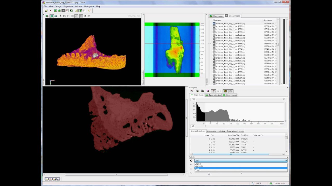 Bruker microCT training video: CTAn volume model viewing