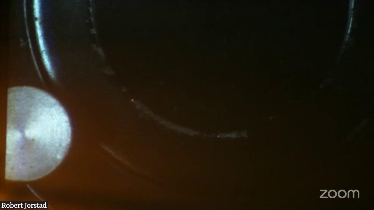 Demonstration of Newton's Rings
