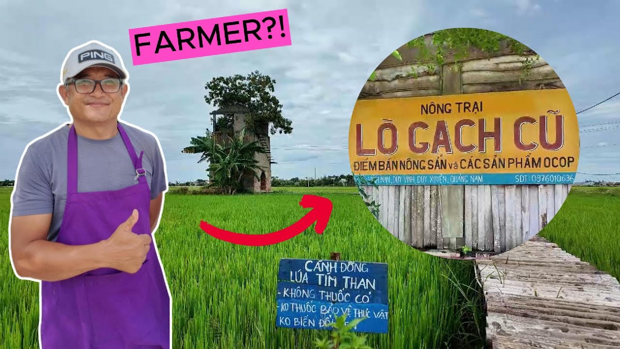 Lo Gach Cu Farm: A Sustainable Agriculture and Tourism Model