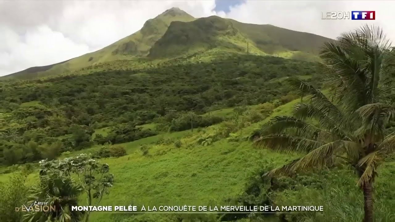 Montagne Pelée : à la conquête de la merveille de la Martinique