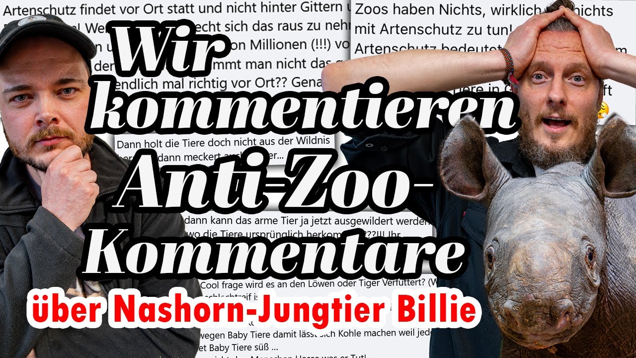 Wir kommentieren Anti-Zoo-Kommentare &uuml;ber Spitzmaulnashorn-Jungtier Billie: Zooh&ouml;ren Folge 2