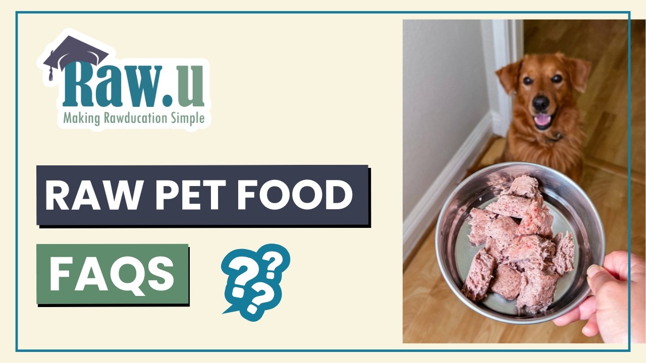 Common Questions About Raw Pet Food